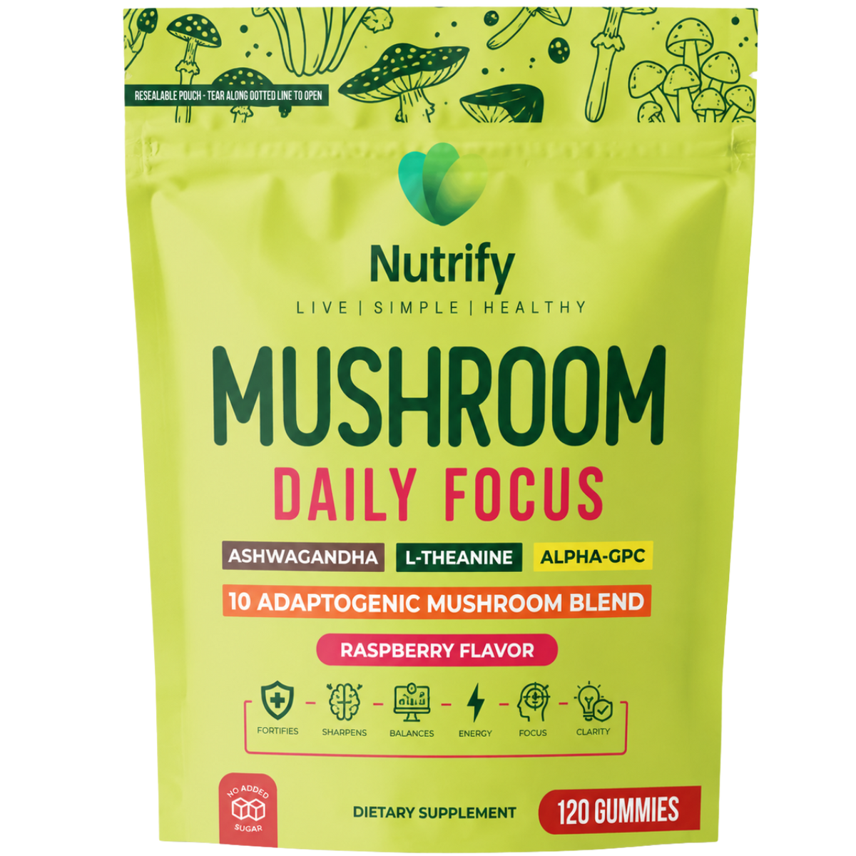 Mushroom Daily Focus