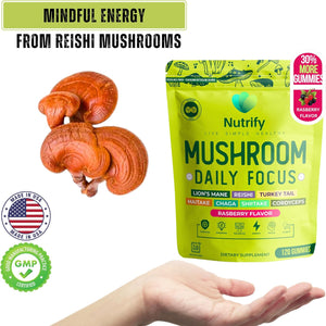 Mushroom Daily Focus