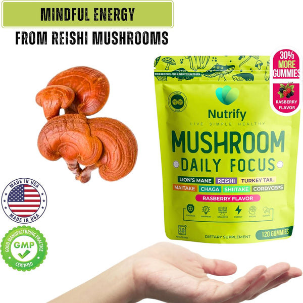 Mushroom Daily Focus