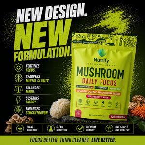 Mushroom Daily Focus